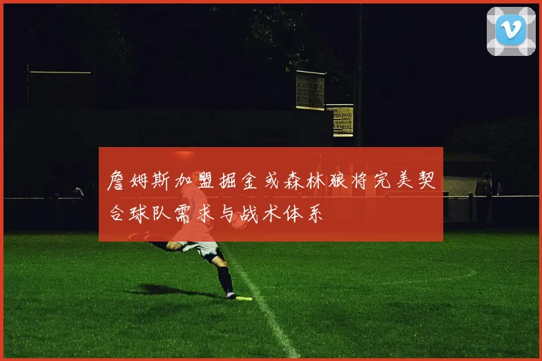 詹姆斯加盟掘金或森林狼将完美契合球队需求与战术体系